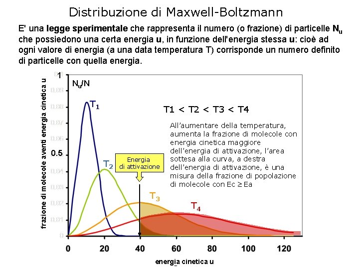 Distribuzione di Maxwell-Boltzmann frazione di molecole aventi energia cinetica u E' una legge sperimentale