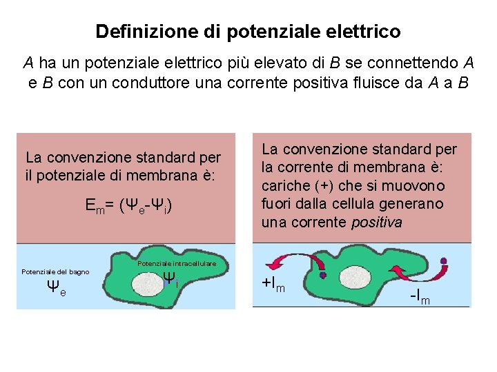 Definizione di potenziale elettrico A ha un potenziale elettrico più elevato di B se