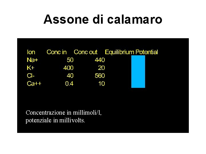 Assone di calamaro Concentrazione in millimoli/l, potenziale in millivolts. 