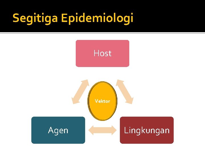 Segitiga Epidemiologi Host Vektor Agen Lingkungan 