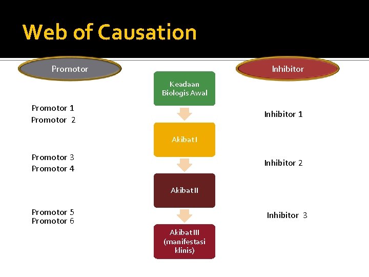 Web of Causation Promotor Inhibitor Keadaan Biologis Awal Promotor 1 Promotor 2 Inhibitor 1