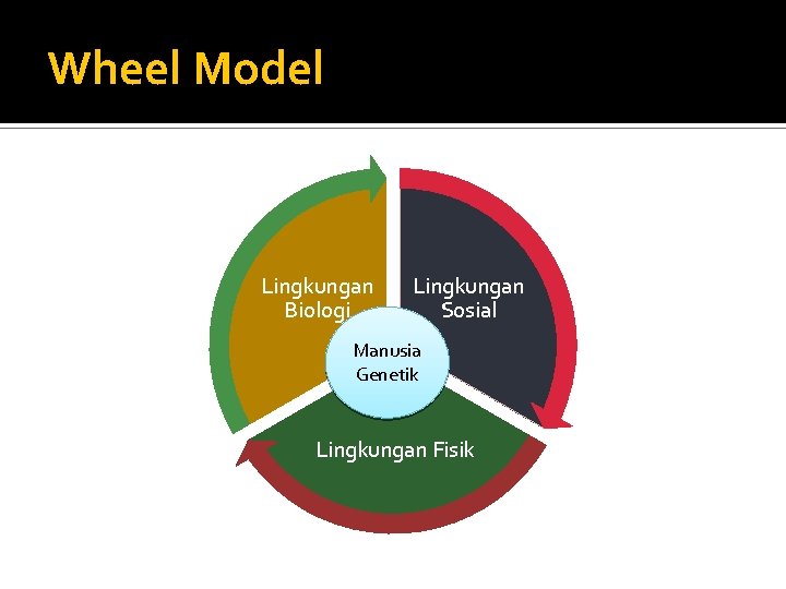 Wheel Model Lingkungan Biologi Lingkungan Sosial Manusia Genetik Lingkungan Fisik 