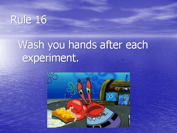 Rule 16 Wash you hands after each experiment. 