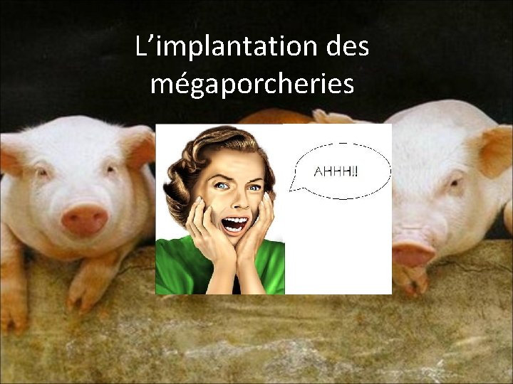 L’implantation des mégaporcheries L’implantation des mégaporcheries
