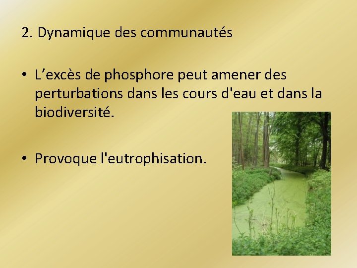 2. Dynamique des communautés • L’excès de phosphore peut amener des perturbations dans les