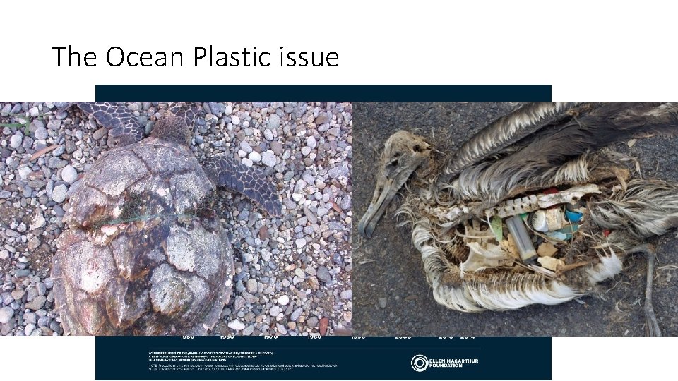 The Ocean Plastic issue 