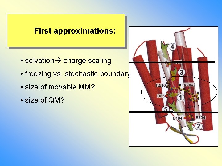 First approximations: • solvation charge scaling • freezing vs. stochastic boundary • size of