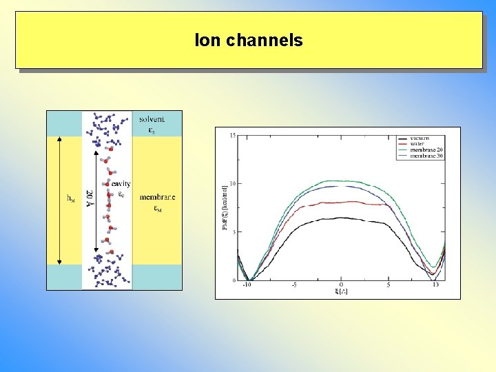Ion channels 