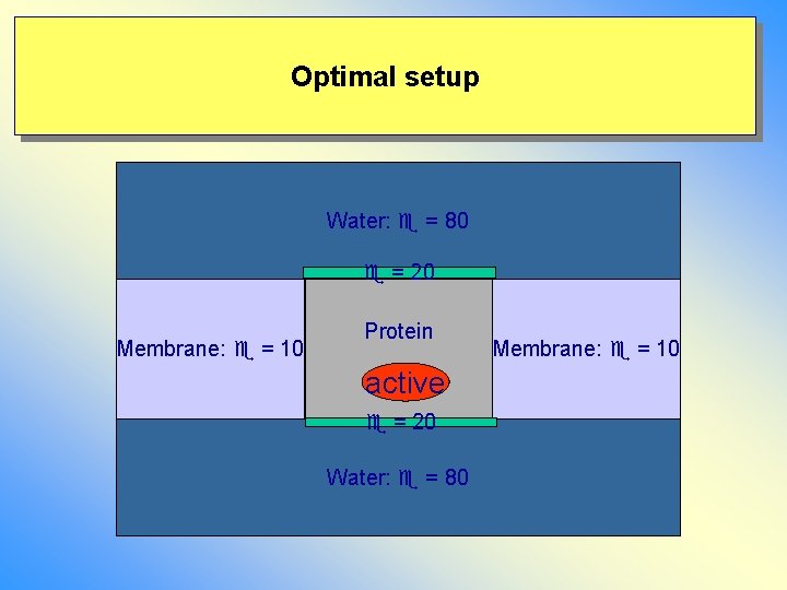 Optimal setup Water: = 80 = 20 Membrane: = 10 Protein active = 20