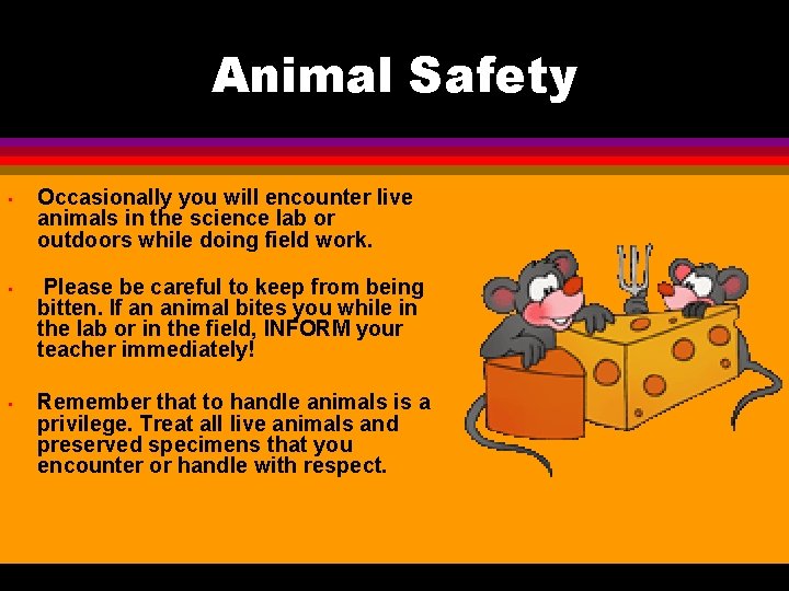 Animal Safety • Occasionally you will encounter live animals in the science lab or