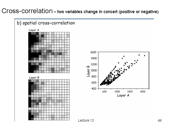 Cross-correlation – two variables change in concert (positive or negative) Lecture 12 46 