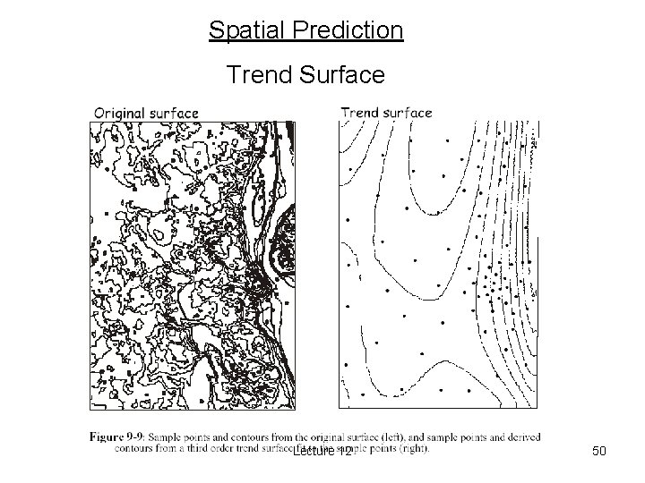 Spatial Prediction Trend Surface Lecture 12 50 