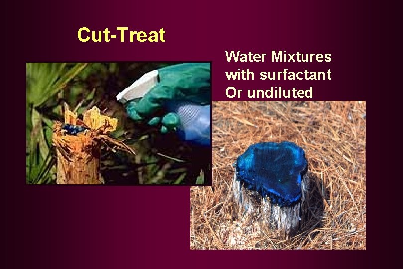  Cut-Treat Water Mixtures with surfactant Or undiluted 