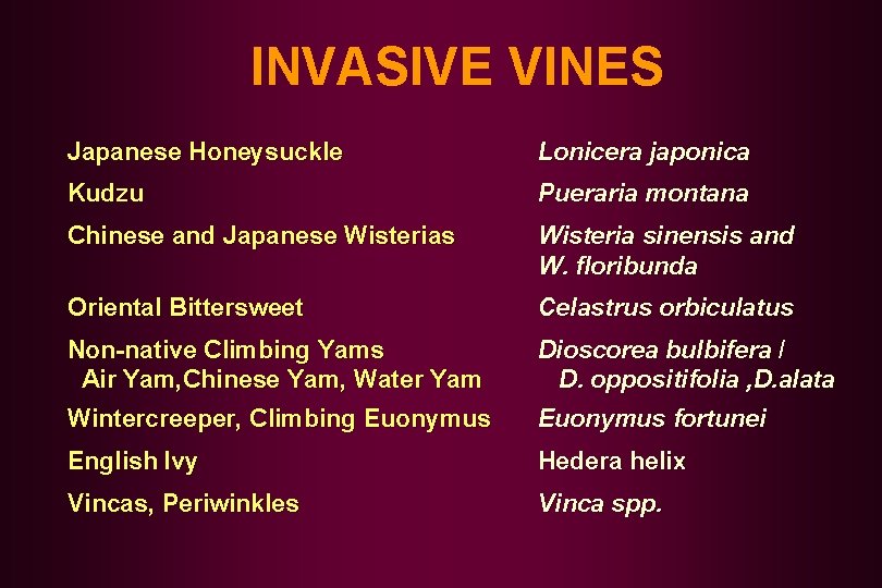 INVASIVE VINES Japanese Honeysuckle Lonicera japonica Kudzu Pueraria montana Chinese and Japanese Wisterias Wisteria