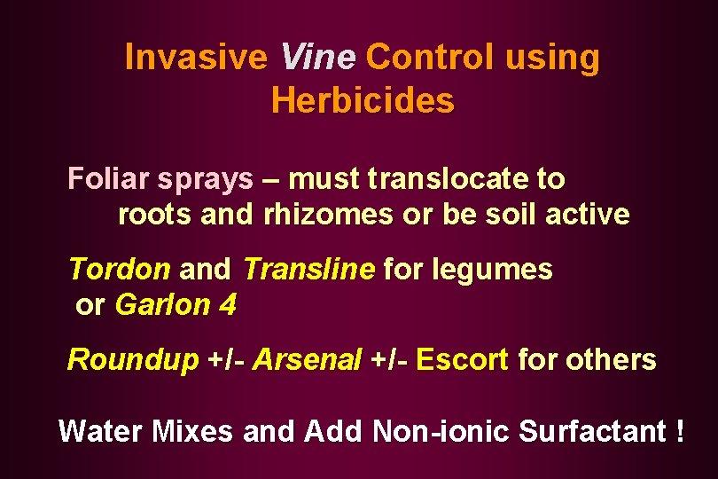 Invasive Vine Control using Herbicides Foliar sprays – must translocate to roots and rhizomes