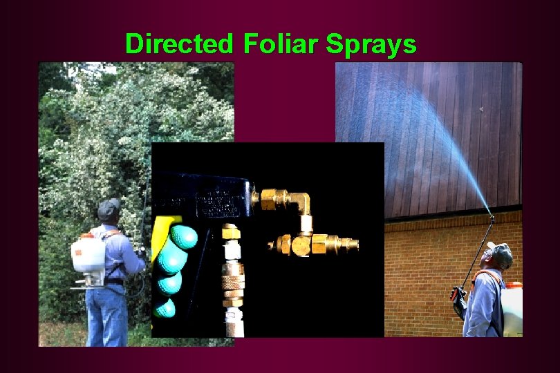 Directed Foliar Sprays 