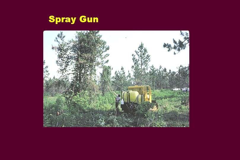 Spray Gun 