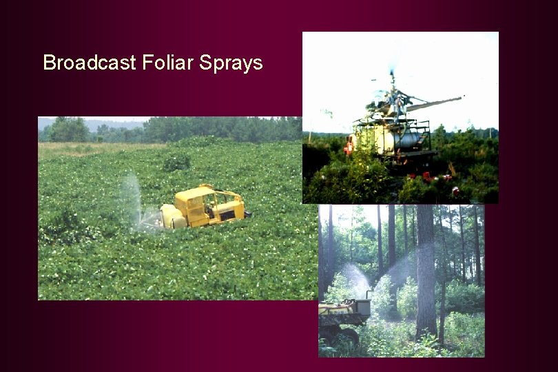 Broadcast Foliar Sprays 