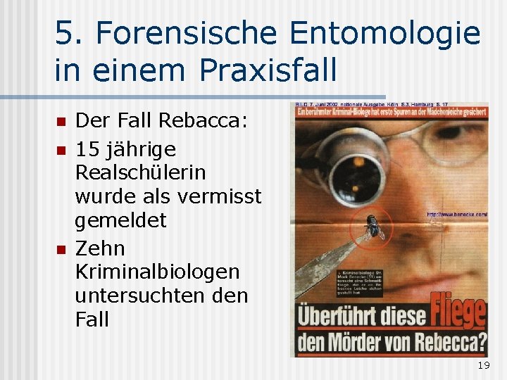 5. Forensische Entomologie in einem Praxisfall n n n Der Fall Rebacca: 15 jährige