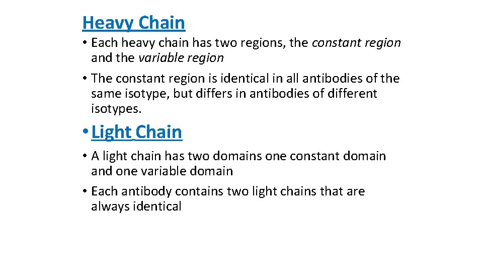 Heavy Chain • Each heavy chain has two regions, the constant region and the