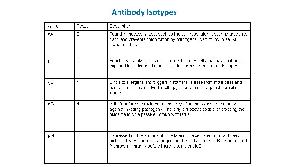 Antibody Isotypes Name Types Description Ig. A 2 Found in mucosal areas, such as