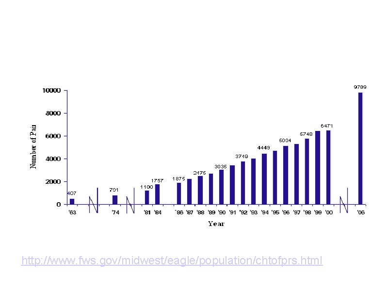 Bald Eagle Population Figure 1 http: //www. fws. gov/midwest/eagle/population/chtofprs. html 