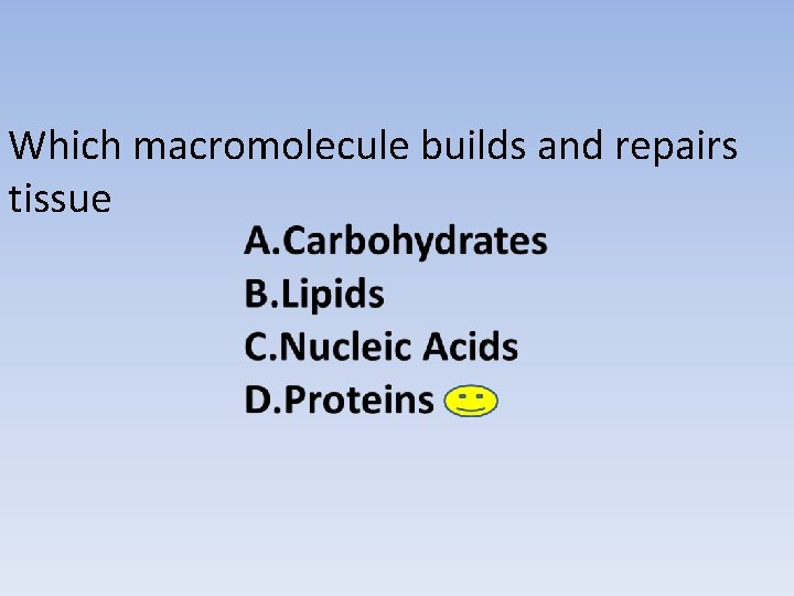 Which macromolecule builds and repairs tissue 