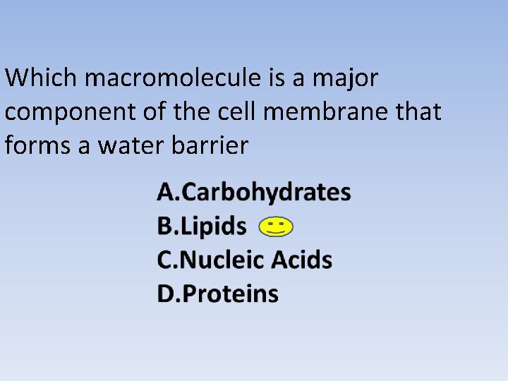 Which macromolecule is a major component of the cell membrane that forms a water