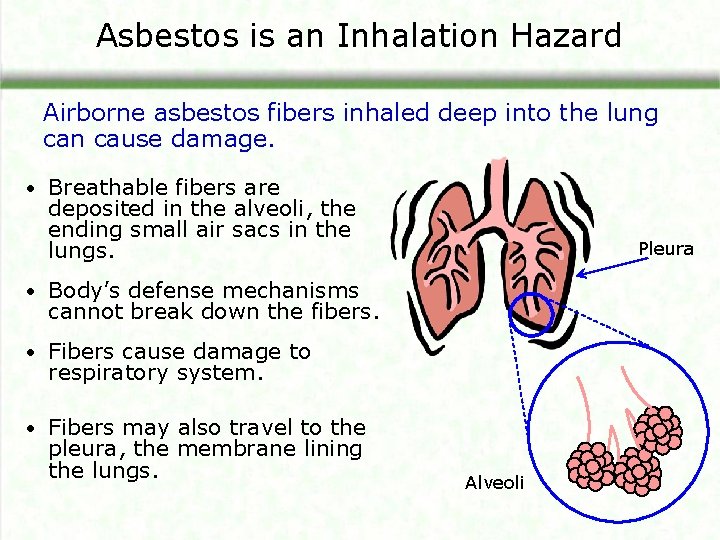 Asbestos is an Inhalation Hazard Airborne asbestos fibers inhaled deep into the lung can