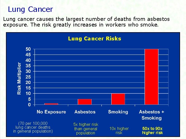 Lung Cancer Lung cancer causes the largest number of deaths from asbestos exposure. The