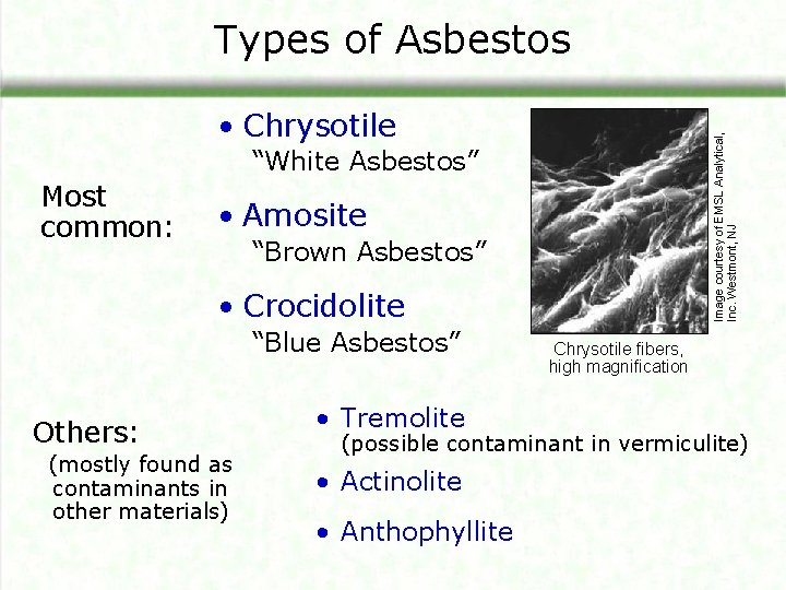 Types of Asbestos Image courtesy of EMSL Analytical, Inc. Westmont, NJ • Chrysotile “White