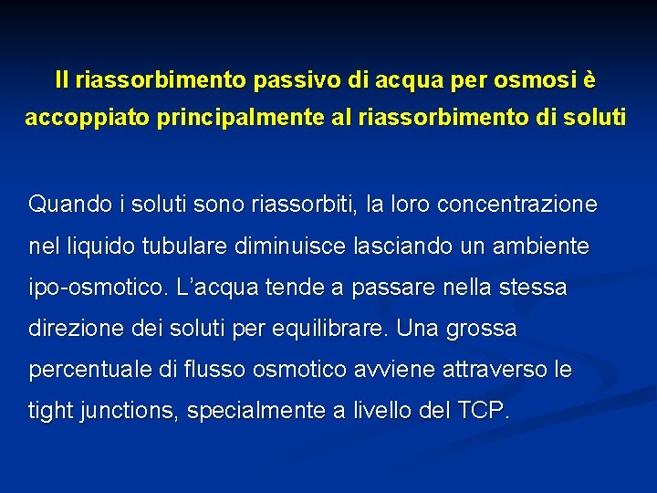 Il riassorbimento passivo di acqua per osmosi è accoppiato principalmente al riassorbimento di soluti