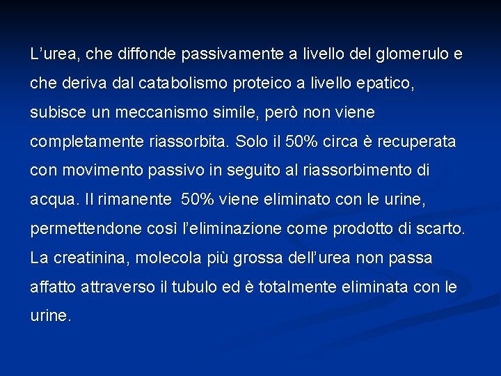 L’urea, che diffonde passivamente a livello del glomerulo e che deriva dal catabolismo proteico