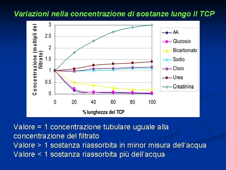 Variazioni nella concentrazione di sostanze lungo il TCP Valore = 1 concentrazione tubulare uguale