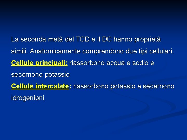 La seconda metà del TCD e il DC hanno proprietà simili. Anatomicamente comprendono due