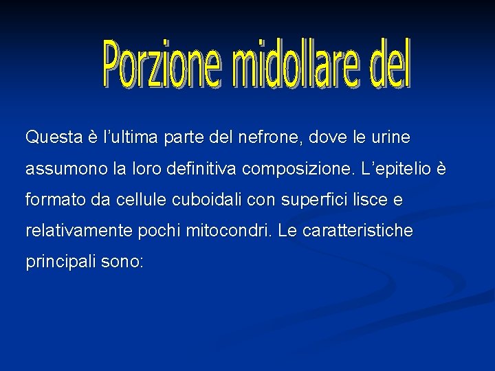 Questa è l’ultima parte del nefrone, dove le urine assumono la loro definitiva composizione.