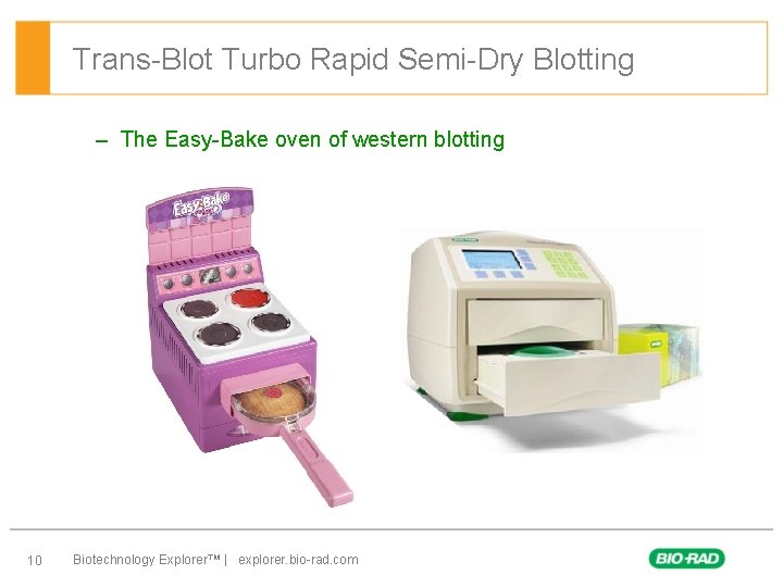 Trans-Blot Turbo Rapid Semi-Dry Blotting – The Easy-Bake oven of western blotting 10 Biotechnology