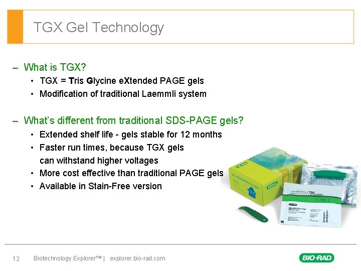 TGX Gel Technology – What is TGX? • TGX = Tris Glycine e. Xtended