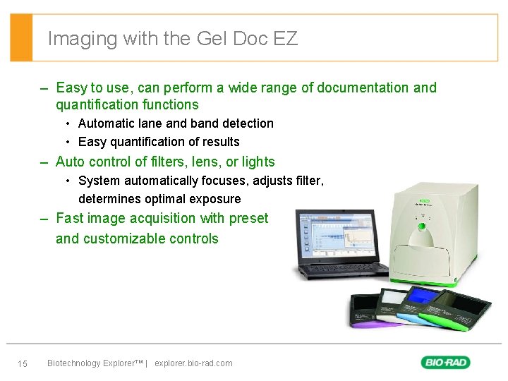Imaging with the Gel Doc EZ – Easy to use, can perform a wide