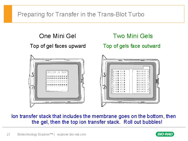 Preparing for Transfer in the Trans-Blot Turbo One Mini Gel Two Mini Gels Top