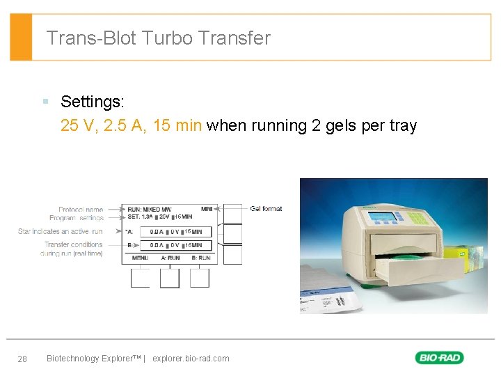 Trans-Blot Turbo Transfer § Settings: 25 V, 2. 5 A, 15 min when running