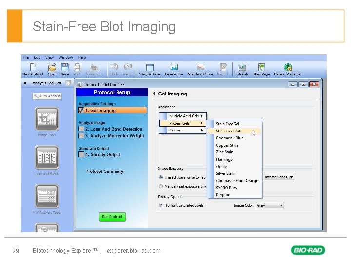 Stain-Free Blot Imaging § First level – Second level • Third level – Forth