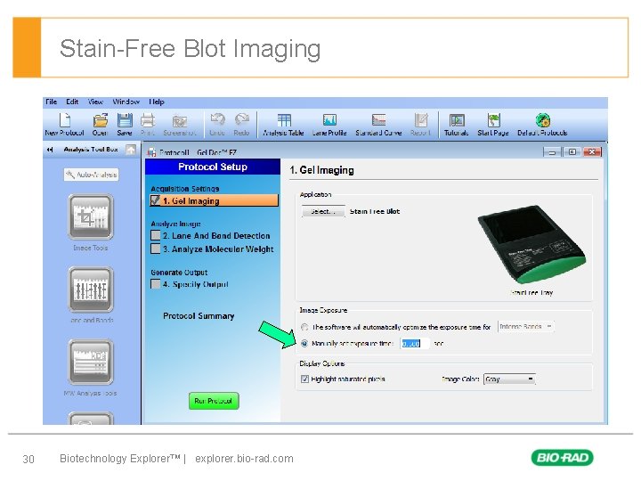Stain-Free Blot Imaging § First level – Second level • Third level – Forth