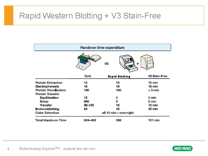 Rapid Western Blotting + V 3 Stain-Free Rapid Blotting 4 Biotechnology Explorer™ | explorer.