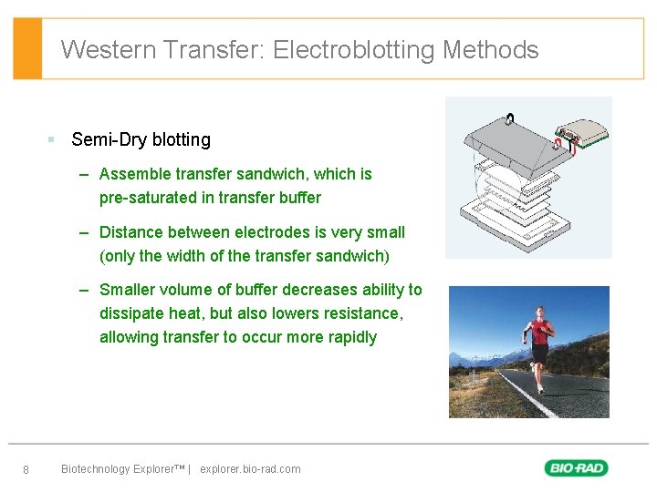 Western Transfer: Electroblotting Methods § Semi-Dry blotting – Assemble transfer sandwich, which is pre-saturated