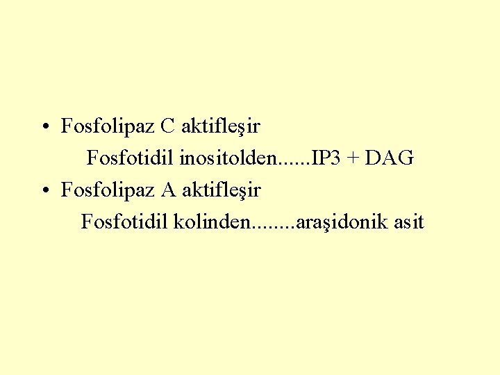  • Fosfolipaz C aktifleşir Fosfotidil inositolden. . . IP 3 + DAG •