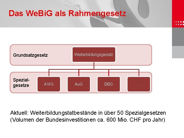 Das We. Bi. G als Rahmengesetz Grundlage: Bundesverfassung Grundsatzgesetz Weiterbildungsgesetz Spezialgesetze Au. G AVIG