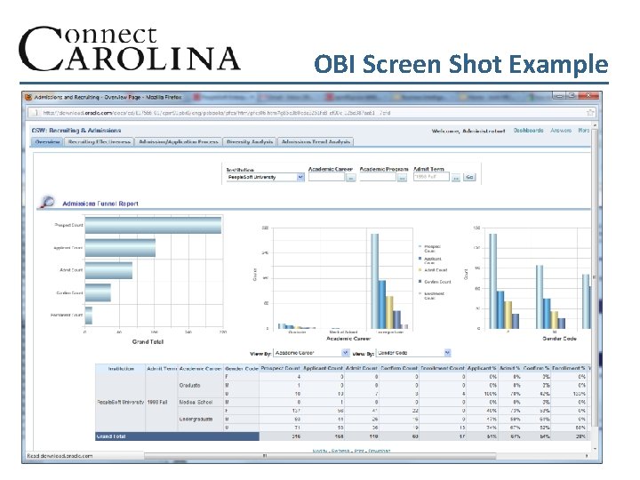 OBI Screen Shot Example 