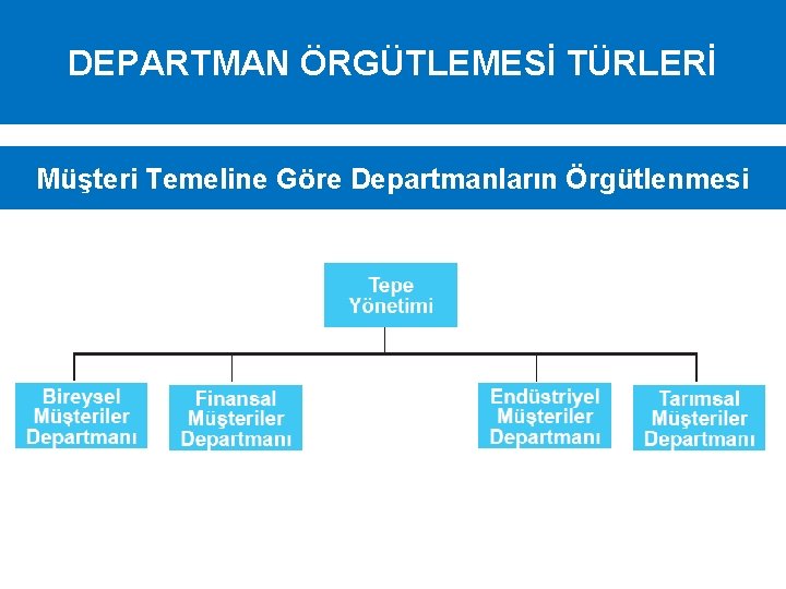 DEPARTMAN ÖRGÜTLEMESİ TÜRLERİ Müşteri Temeline Göre Departmanların Örgütlenmesi 