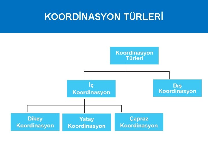 KOORDİNASYON TÜRLERİ 